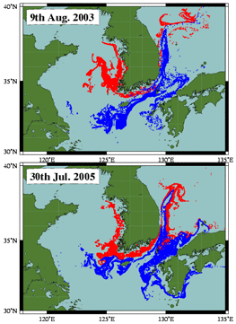 Calculated routes along which Nomura's jellyfish drifted in 2003 and 2005