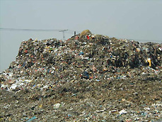 Landfill waste at a field under study(Laogang landfill in Shanghai)