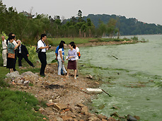 Actual state of eutrophication in Lake Tai