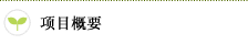 project outline