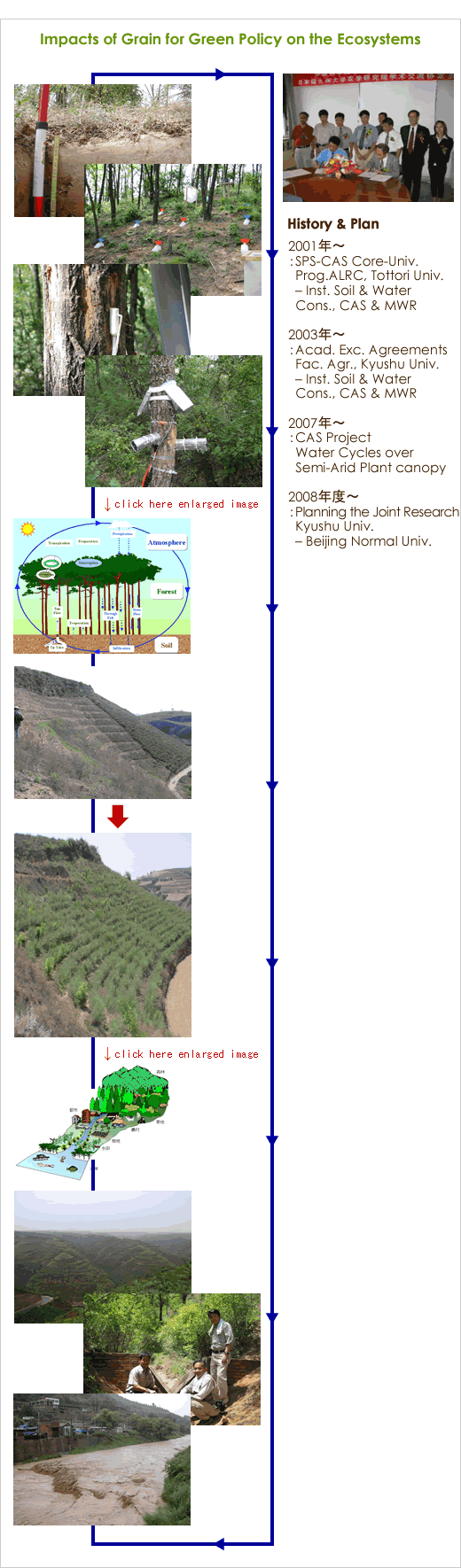 Impacts of Grain for Green Policy on the Ecosystems