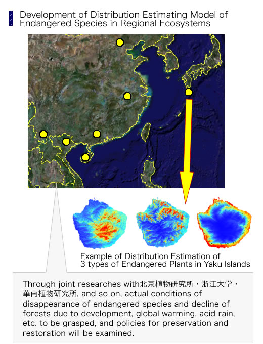 Development of Distribution Estimating Model of