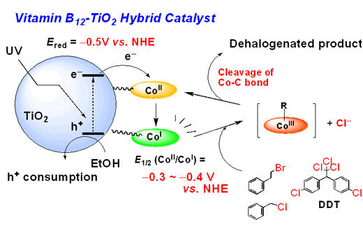 Environment-friendly Catalysts Degradation of Organic Halide Pollutants