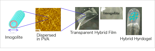 Green Polymer Nonohybrid with Natural Nanotube