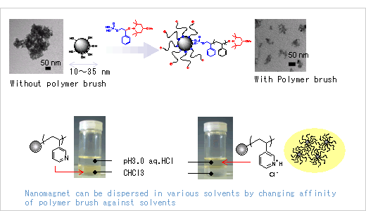 Polymer Grafted Metal Oxide Nanoparticles