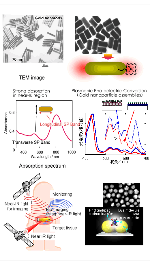 Photoelectric Conversion and Imaging Using Gold Nano-colloids