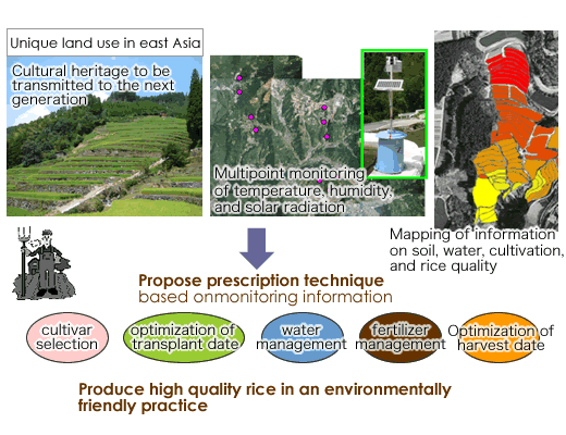Produce high quality rice in an environmentally friendly practice