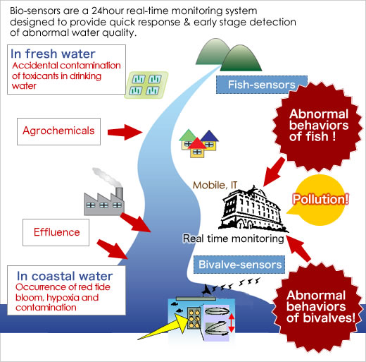 Real time monitoring