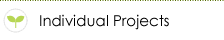 individual project