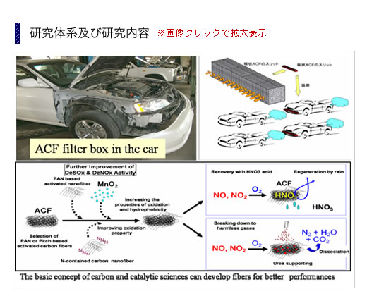 研究体系及び研究内容