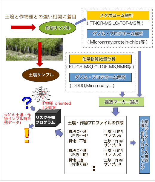 九州大学バイオアーキテクチャーセンターのもつオミックス解析技術