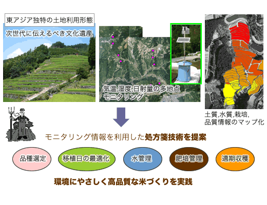 環境にやさしく高品質な米づくりを実践