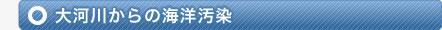 大河川からの海洋汚染