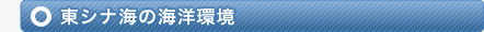 東シナ海の海洋環境