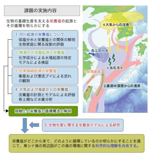 課題の実施内容