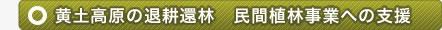 退耕還林