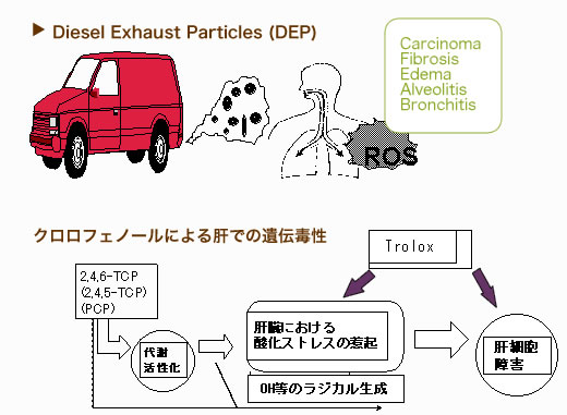 微量汚染化学物質イメージ