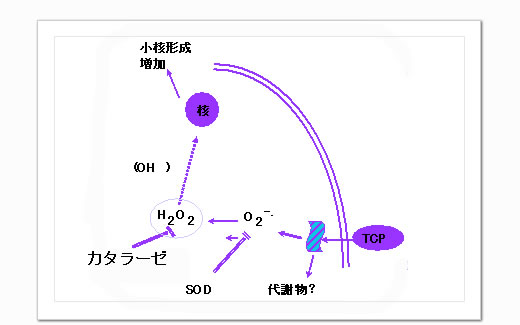 微量汚染化学物質イメージ2